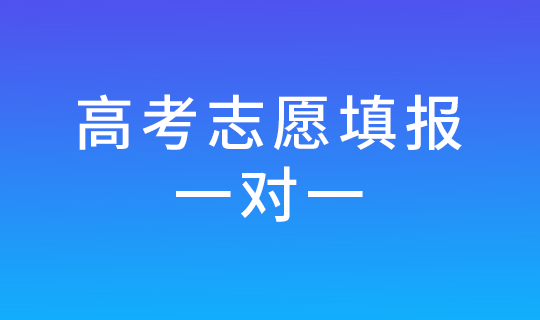 2024高考志愿填报一对一收费.png