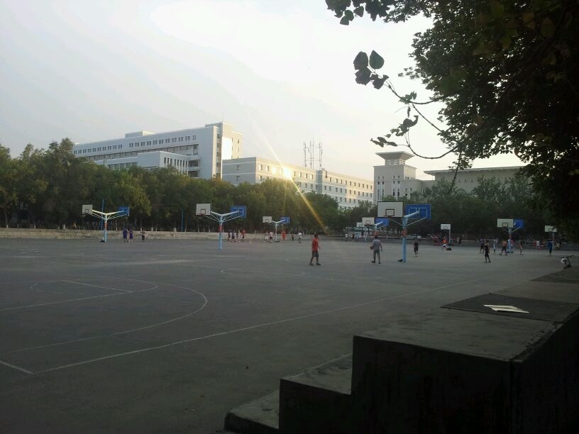 新疆财经大学商务学院