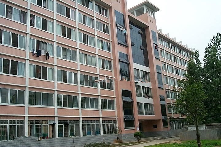ѧ