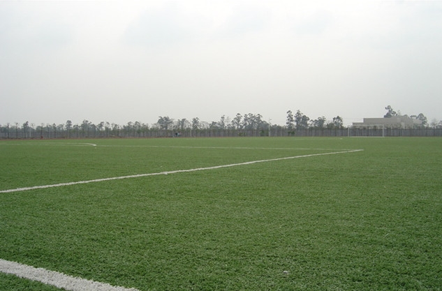 四川大学锦城学院