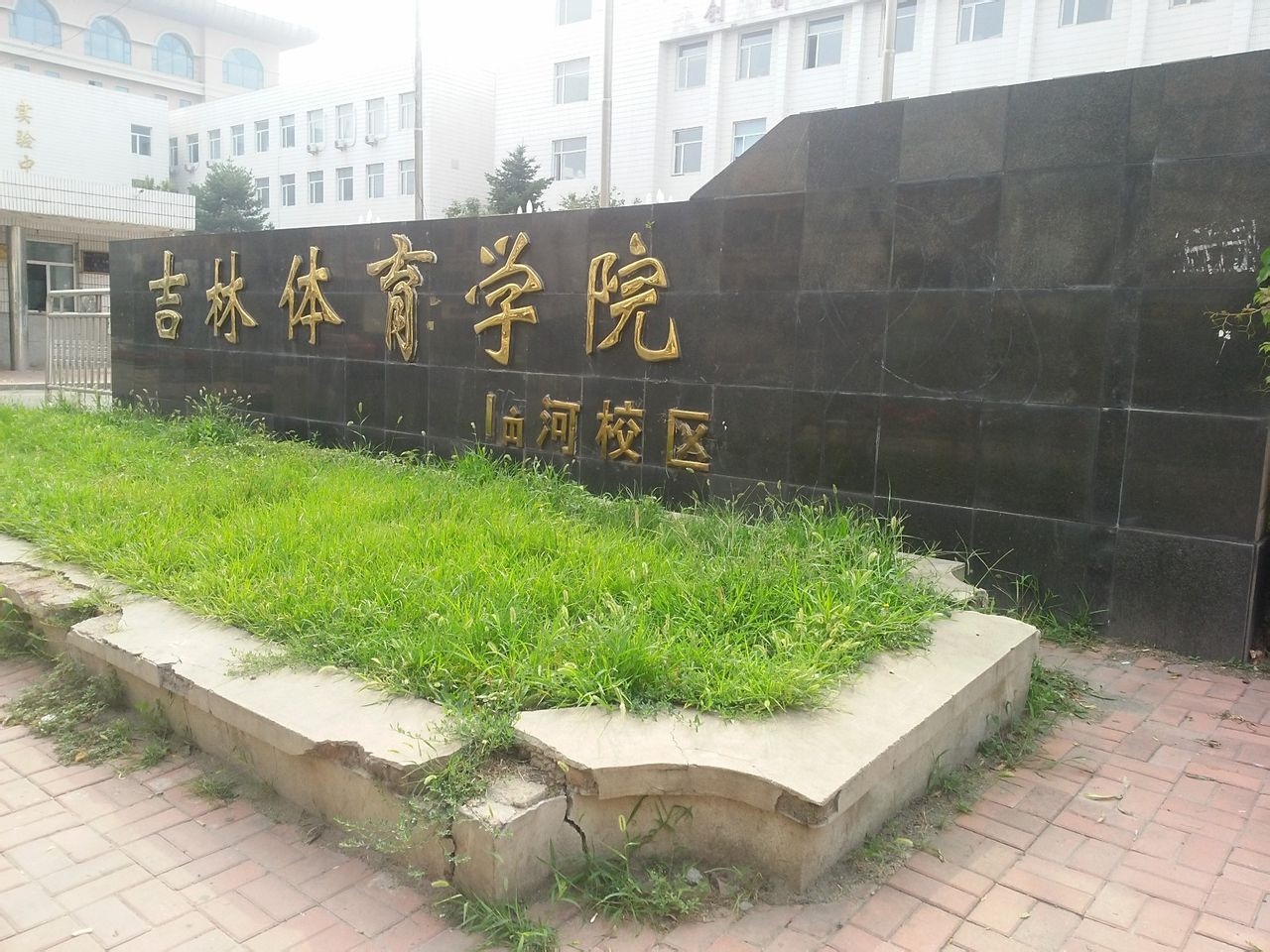 2011年吉林省体育加试都有什么项目?怎样算达标?